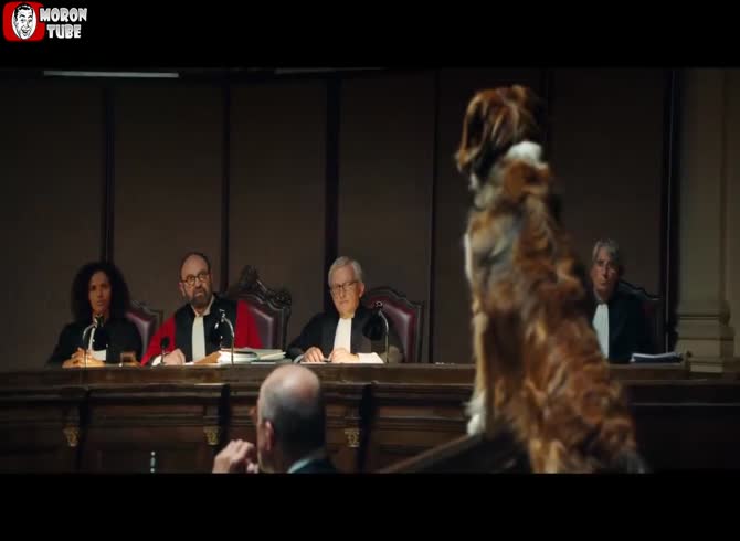 Video :Only innocent people are executed in France